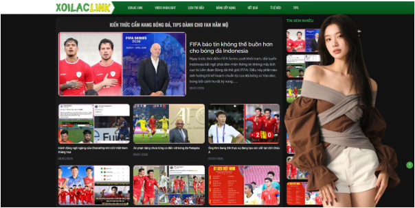 Transfer Market Insights